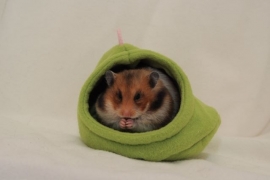 Hamsterren