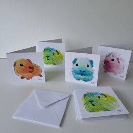 voorraad Kunstkaarten cavia 8x
