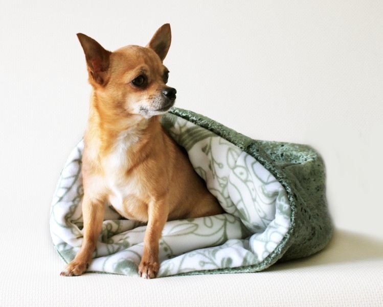 Luxe huisdier draagtas - Tas voor honden - Hondentas - 38 x 23 x 17 cm -  Bruin