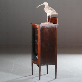 Antieke kast / Muziekkastje in mahonie met bol glas ca. 1910 kleine opstaande rand  (No.591044)