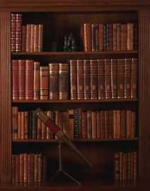 Antieke kast /  Grote jaren `30 boekenkast / servieskast met verstelbare planken (No.77170)
