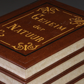 Als een "Victorian Faux Book Trunk" in het Nederlands Schijnboekenkistje  "Geheim Der Natuur" ca 1890 (No.222105)