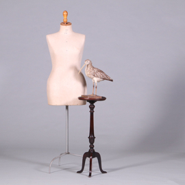 Hoge Engelse "Tripod wine table" zeer donker bijna zwart eikenhout ca 1900 (No.452405)