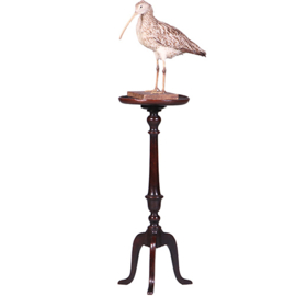 Hoge Engelse "Tripod wine table" zeer donker bijna zwart eikenhout ca 1900 (No.452405)