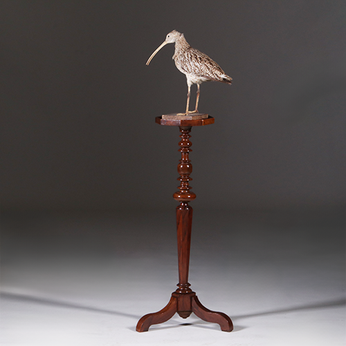 Gueridon of lampentafel ca 1735 notenhout fraaie patina( No.311410)