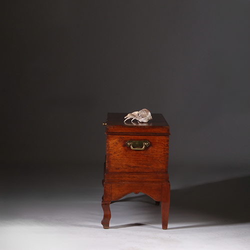 Koloniale compagnie kist ca 1775 op onderstel met bronzen grepen (No.311430)