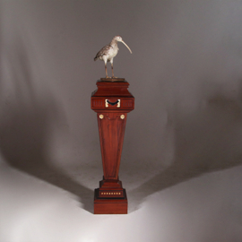 Zeer hoge zuil of pedestal in notenhout met zwart en goud. (No.332425)