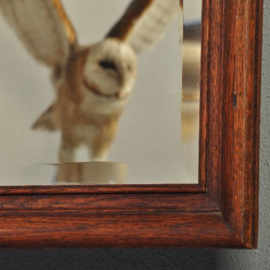 Antieke spiegels / Grote Hollandse schouwspiegel ca. 1890 met breed facet. (No.397715)