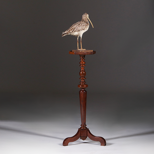 Gueridon of lampentafel ca 1735 notenhout fraaie patina( No.311410)