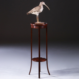 Hollandse lampetafel in strak mahonie ca. 1900 met ingelegde biesjes (No.222120)