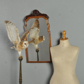 Antieke spiegels / kleine Soesterspiegel ca. 1890 met een zeer breed geslepen facet (No.310726)
