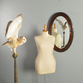 Antieke spiegels / Ovaal facetgeslepen spiegel ca. 1900  zogenaamde "Paris Mirror" (No.192347)