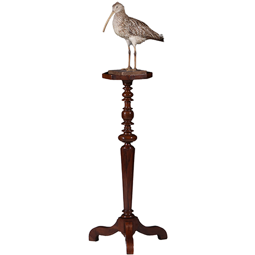 Gueridon of lampentafel ca 1735 notenhout fraaie patina( No.311410)