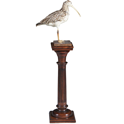 Kleine gedrongen doorleefde  Piëdestal of zuil met cannelures  ca 1910  (No.301820)