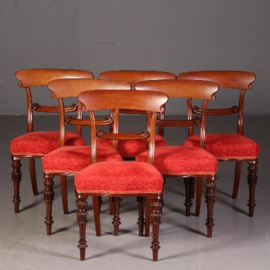 Antieke stoelen / Stel van 6 mahonie eetkamerstoelen ca. 1840 William IV / Victoriaans (No.532111)