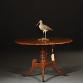 Antieke tafel / Kleine ronde blond mahonie eetkamertafel ca. 1860 met tilttop-mechaniek (No.472849)