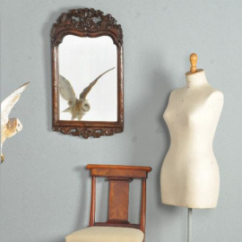 Antieke spiegel +/ Gestoken lijst met ruiven en bladeren ca. 1890 (No.272159)