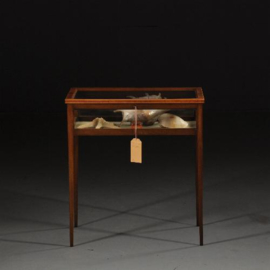 Antieke bijzettafels / strakke tafelvitrine in notenhout ca. 1900 met aan 5 kanten glas (No.432233)