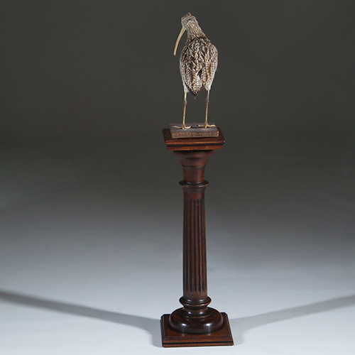 Kleine gedrongen doorleefde  Piëdestal of zuil met cannelures  ca 1910  (No.301820)
