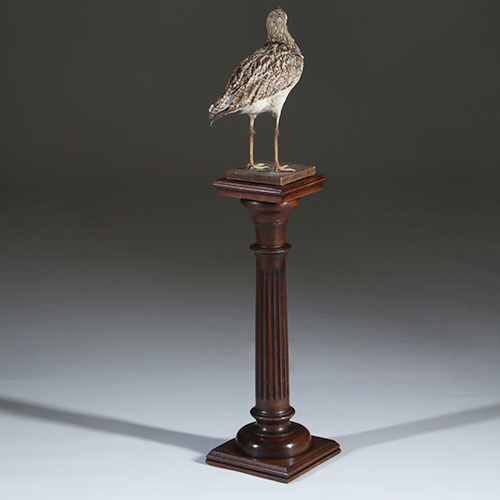 Kleine gedrongen doorleefde  Piëdestal of zuil met cannelures  ca 1910  (No.301820)