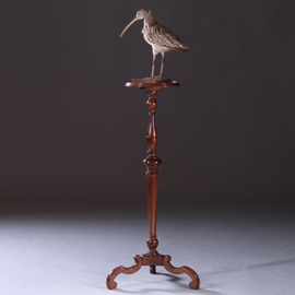 Hollandse hoge lampetafel, piedestal of gueridon ca 1890 notenhout (No.222135)