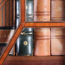 Antieke kast / Hoge ondiepe antieke boekenkast / porseleinkast 2,26 X 0,31m. ! Engels ca. 1840  (No.562213)