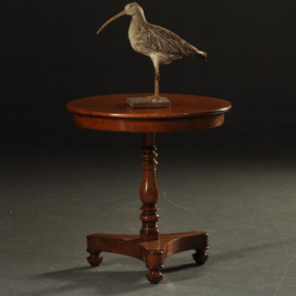 Antieke bijzettafels / wijntafels / Ovaal mahonie Willem III tafeltje / salontafeltje ca. 1870  in mahonie (No.501822)