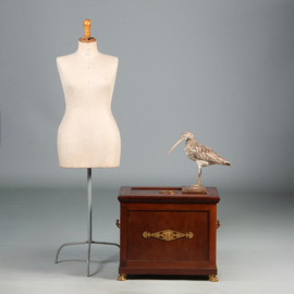 Wijnkoeler of cellarette in mahonie met brons verguld beslag Empire stijl door Pander en Zn ca 1900 (No.461520)