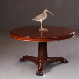 Antieke tafel / Engelse Tilttop salontafel in de oude hoogte ca.1840 smetteloos gepolitoerd. (No.MMTN04)