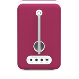 Pure Evoke D2 Mio DAB+ en FM radio met Bluetooth, Raspberry