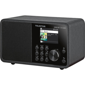 Telestar DIRA M 1 A MOBIL radio met DAB+, FM, Bluetooth, USB en Internet, met ingebouwde accu