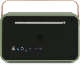 Technisat Transita 121 IR oplaadbare draagbare internet, DAB+ en FM radio met Bluetooth, groen