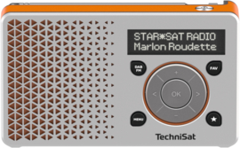 TechniSat DigitRadio 1 portable DAB+ en FM radio met  oplaadbare accu, zilver-oranje