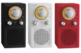 Scansonic P2500 portable radio met FM en AM