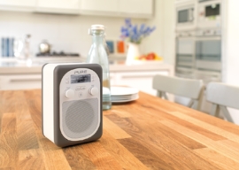 Pure Evoke D2 Mio DAB+ en FM radio met Bluetooth, Pewter