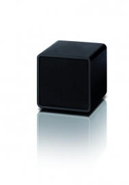 NOXON iRadio 300 Speaker