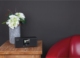 Telestar DIRA S 21i + stereo radio met DAB+, FM, Bluetooth, USB, audiostreaming en Internet