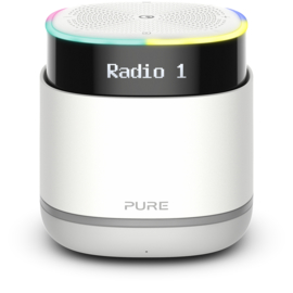 Pure StreamR draagbare Bluetooth Speaker met DAB+ en FM radio, Stone Grey