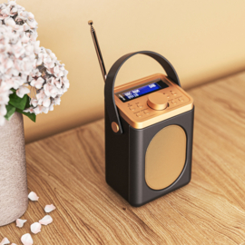 Majority Audio Little Shelford draagbare radio met DAB+, FM en Bluetooth, zwart