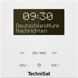 Technisat DigitRadio UP 55 DAB+, FM en Bluetooth inbouwradio