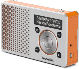 TechniSat DigitRadio 1 portable DAB+ en FM radio met  oplaadbare accu, zilver-oranje