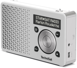 TechniSat DigitRadio 1 portable DAB+ en FM radio met  oplaadbare accu, zilver-zilver