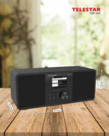 Telestar Top 250 stereo radio met DAB+, FM, Bluetooth, USB en Internet, zwart