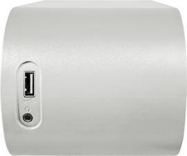 Telestar Top IR 50 eenvoudige internet (wekker) radio met Bluetooth en  USB, wit