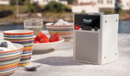 Pinell GO portable DAB+ en FM radio met ingebouwde accu, zwart