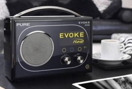 Pure Evoke Flow - DAB+ WIFI FM INTERNET