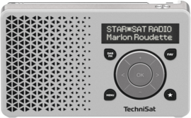 TechniSat DigitRadio 1 portable DAB+ en FM radio met  oplaadbare accu, zilver-zilver