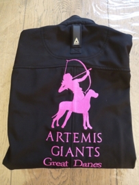 Artemis Giants