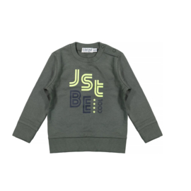 0 Dirkje sweater groen  D36761-35