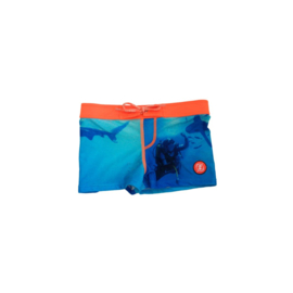 ZEE & ZO Douglas Photoprint baby Dive short